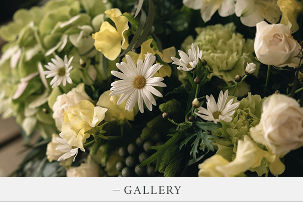 bnrhalf_gallery_off